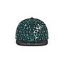 Snapback LIMITED EDITION GRASSROOTS
Feuillage vert

